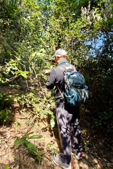 Thumbnail of pic_KW_Sin_028.jpg