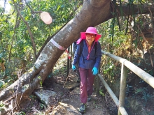 Thumbnail of pic_Lee_Shing_005.JPG