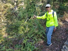 P1180046.jpg (722619 bytes)