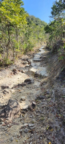 Thumbnail of pic_Si9_009.jpg