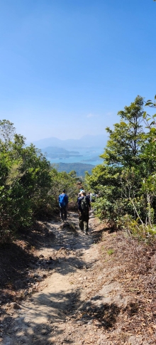 Thumbnail of pic_Si9_043.jpg