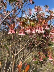 Thumbnail of pic_TB_Tung_008.JPG