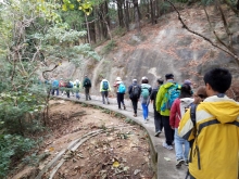 Thumbnail of P2010014.jpg