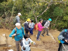 Thumbnail of P2010018.jpg