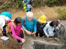 Thumbnail of P2010020.jpg