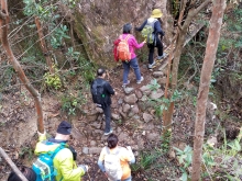 Thumbnail of P2010050.jpg