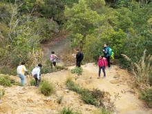 Thumbnail of P2010052.jpg