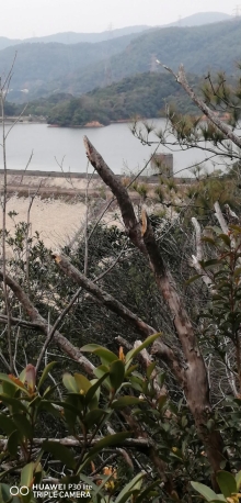 Thumbnail of pic_Lee_Woo_018.jpg