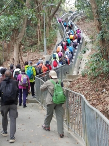 Thumbnail of P2080001.jpg