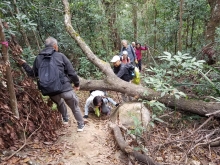 Thumbnail of P2080008.jpg