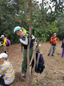 Thumbnail of P2080016.jpg