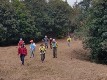 Thumbnail of P2080022.jpg