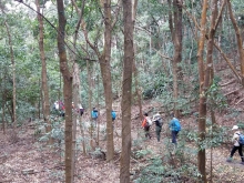 Thumbnail of P2080025.jpg