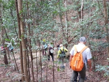 Thumbnail of P2080027.jpg