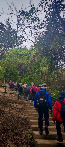 Thumbnail of pic_Cindy_Tse_002.jpg