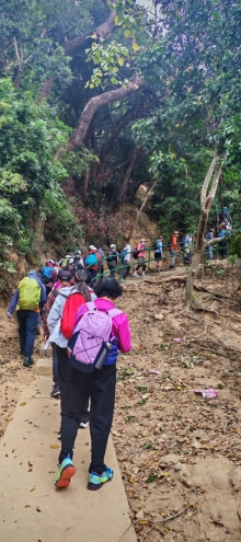 Thumbnail of pic_Cindy_Tse_003.jpg