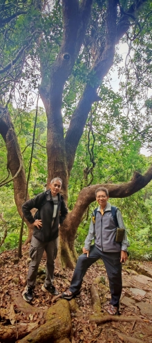 Thumbnail of pic_Cindy_Tse_024.jpg