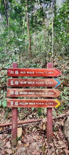 Thumbnail of pic_Cindy_Tse_030.jpg