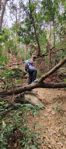 Thumbnail of pic_Derek_Wong_004.jpg