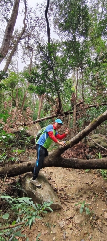 Thumbnail of pic_Derek_Wong_009.jpg