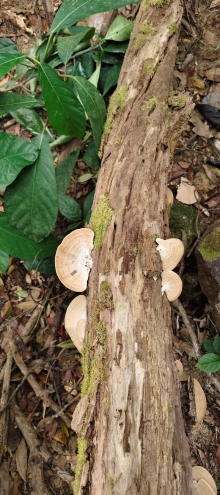 Thumbnail of pic_Derek_Wong_051.jpg