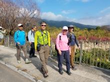 Thumbnail of P2150003.jpg