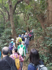 Thumbnail of P2150004.jpg