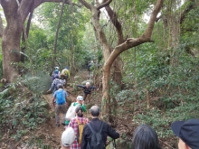 Thumbnail of P2150006.jpg