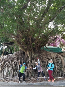 Thumbnail of P2150033.jpg