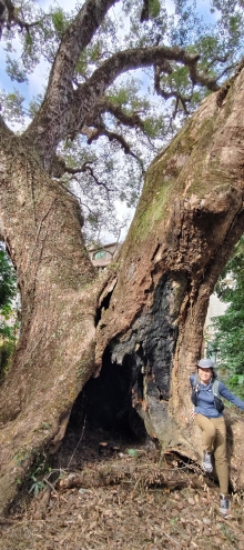 Thumbnail of pic_Derek_Wong_014.jpg