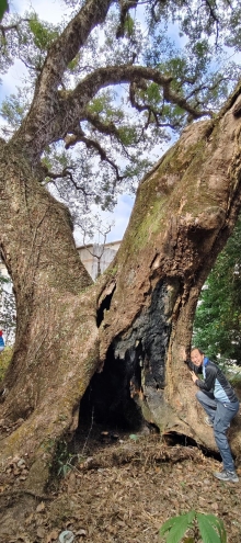 Thumbnail of pic_Derek_Wong_015.jpg