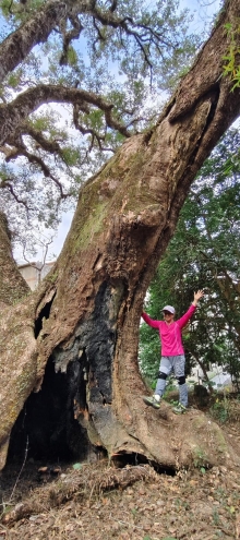 Thumbnail of pic_Derek_Wong_017.jpg