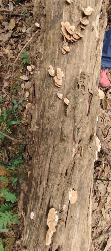 Thumbnail of pic_Derek_Wong_065.jpg