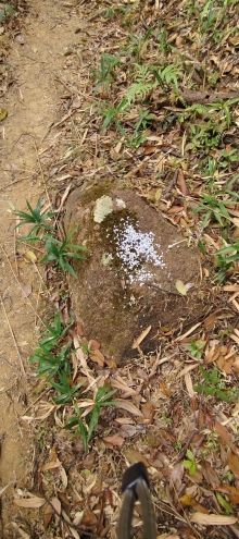 Thumbnail of pic_Derek_Wong_066.jpg