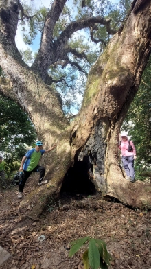 Thumbnail of pic_Esther_Chuk_001.jpg