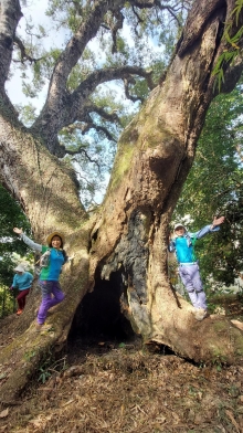 Thumbnail of pic_Esther_Chuk_008.jpg