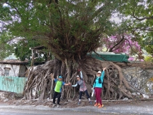 Thumbnail of pic_WaiG_008.jpg