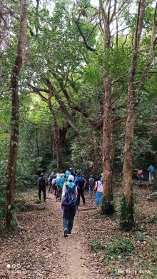 Thumbnail of pic_YW_Ng_004.jpg