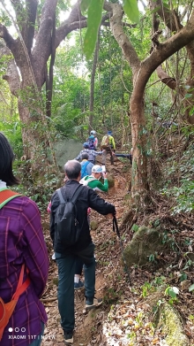 Thumbnail of pic_YW_Ng_006.jpg