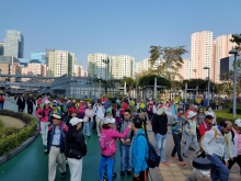 Thumbnail of P2190035.jpg