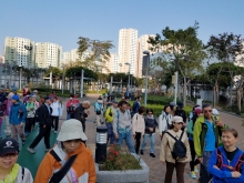 Thumbnail of P2190039.jpg