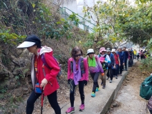 Thumbnail of P2190054.jpg