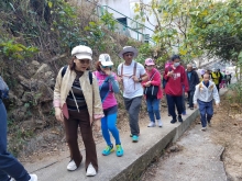 Thumbnail of P2190059.jpg