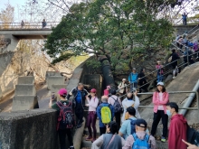 Thumbnail of P2190066.jpg