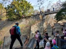 Thumbnail of P2190068.jpg