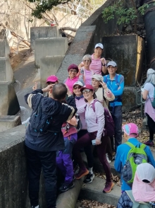 Thumbnail of P2190071.jpg