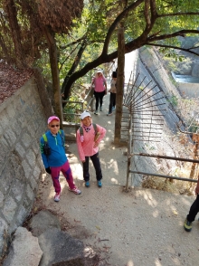 Thumbnail of P2190080.jpg