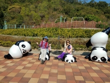 Thumbnail of P2190091.jpg