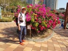 Thumbnail of P2190093.jpg