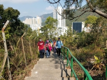 Thumbnail of P2190095.jpg